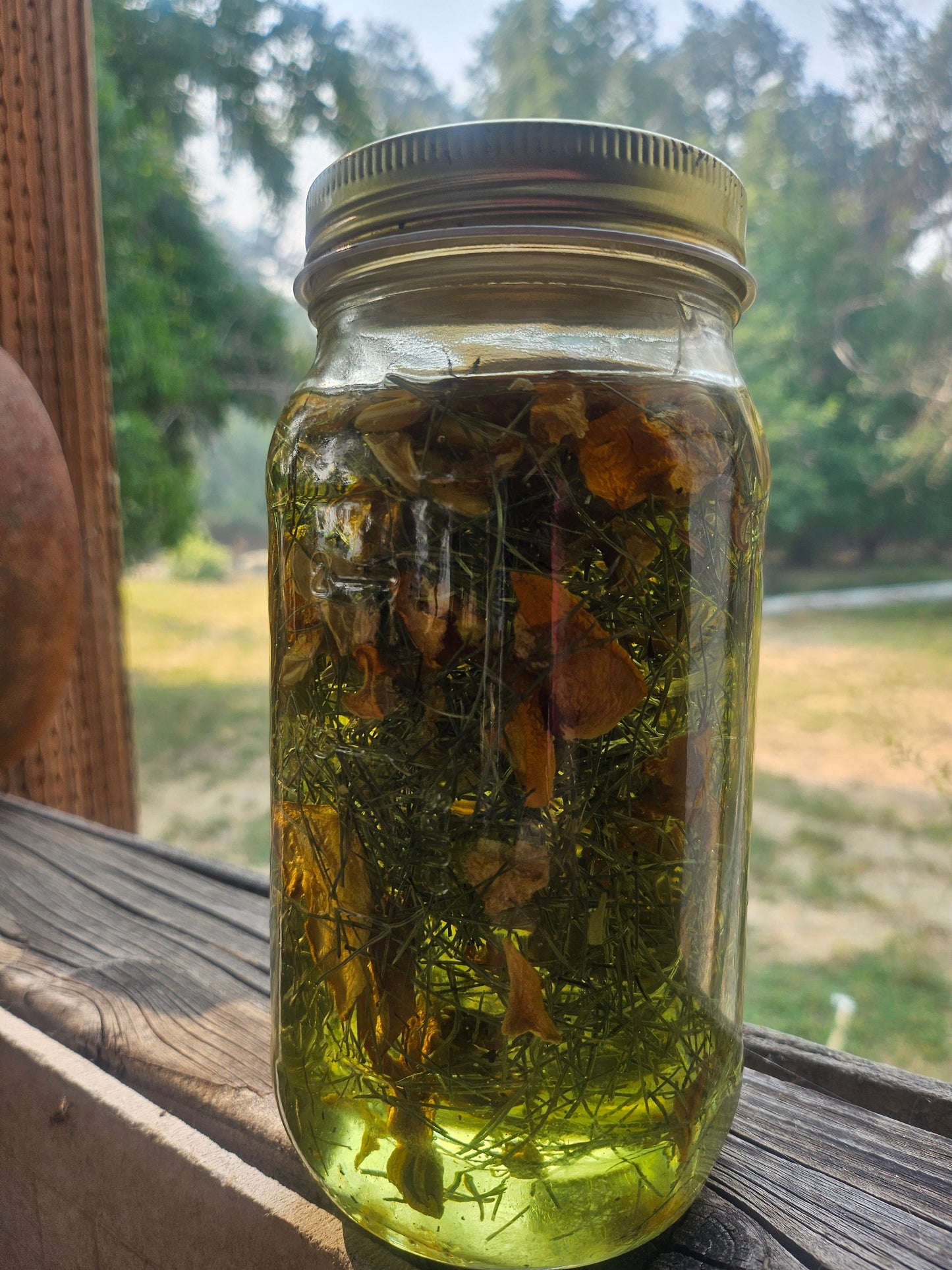 Soap-Horsetail & Pumpkin Beauty Bar