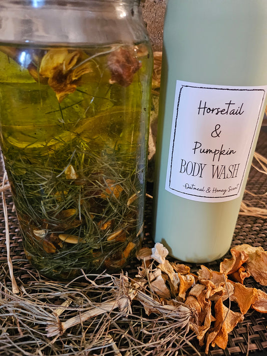 All natural body wash-Horsetail and pumpkin