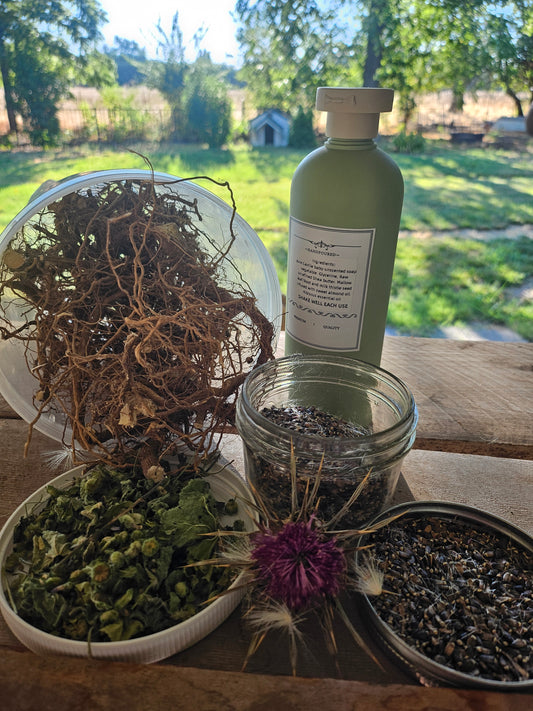 Mallow and Milk Thistle body wash - Hibiscus scentes