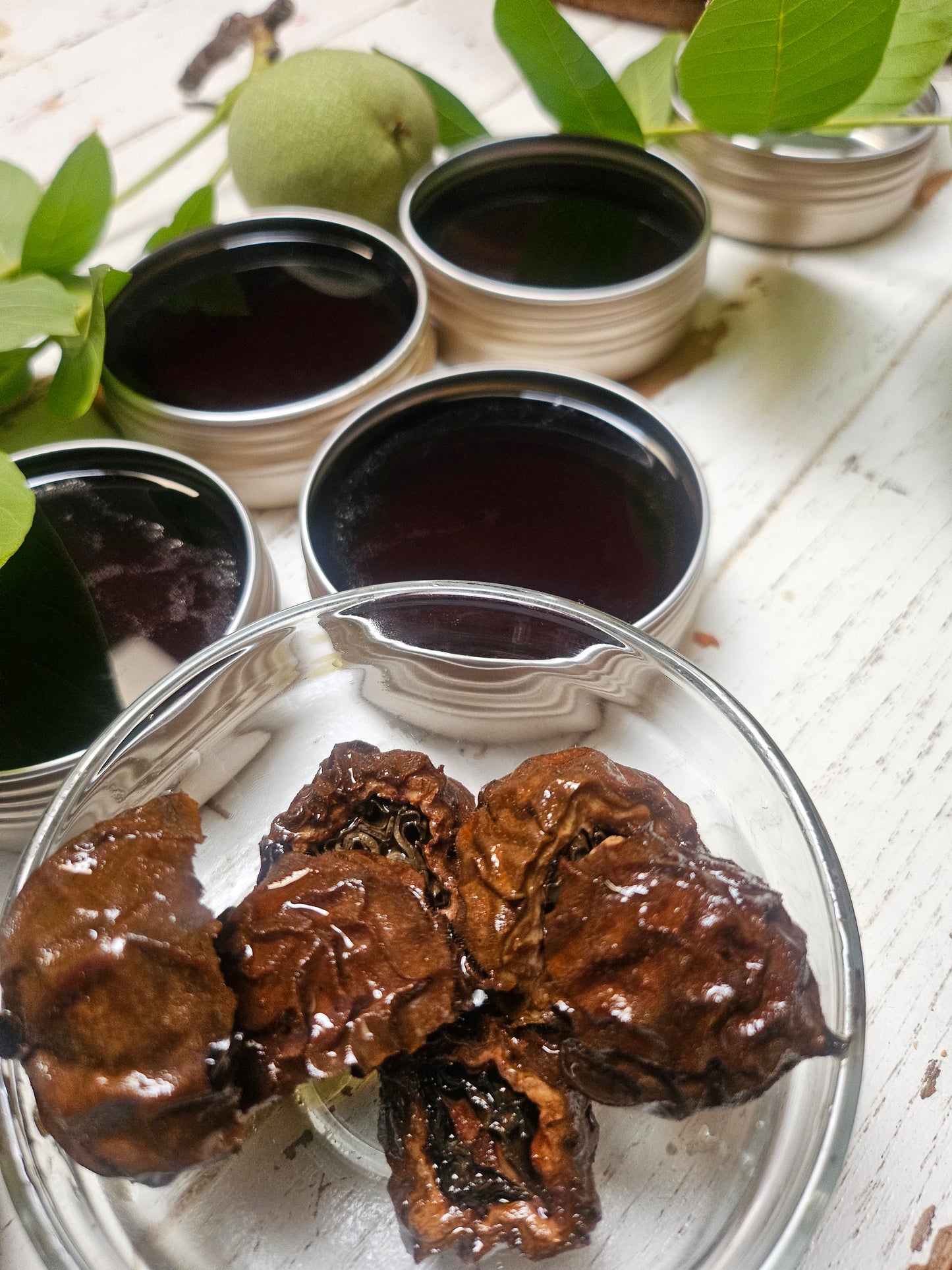 Salve-English Walnut Hull (Athlete's foot/Ringworm)
